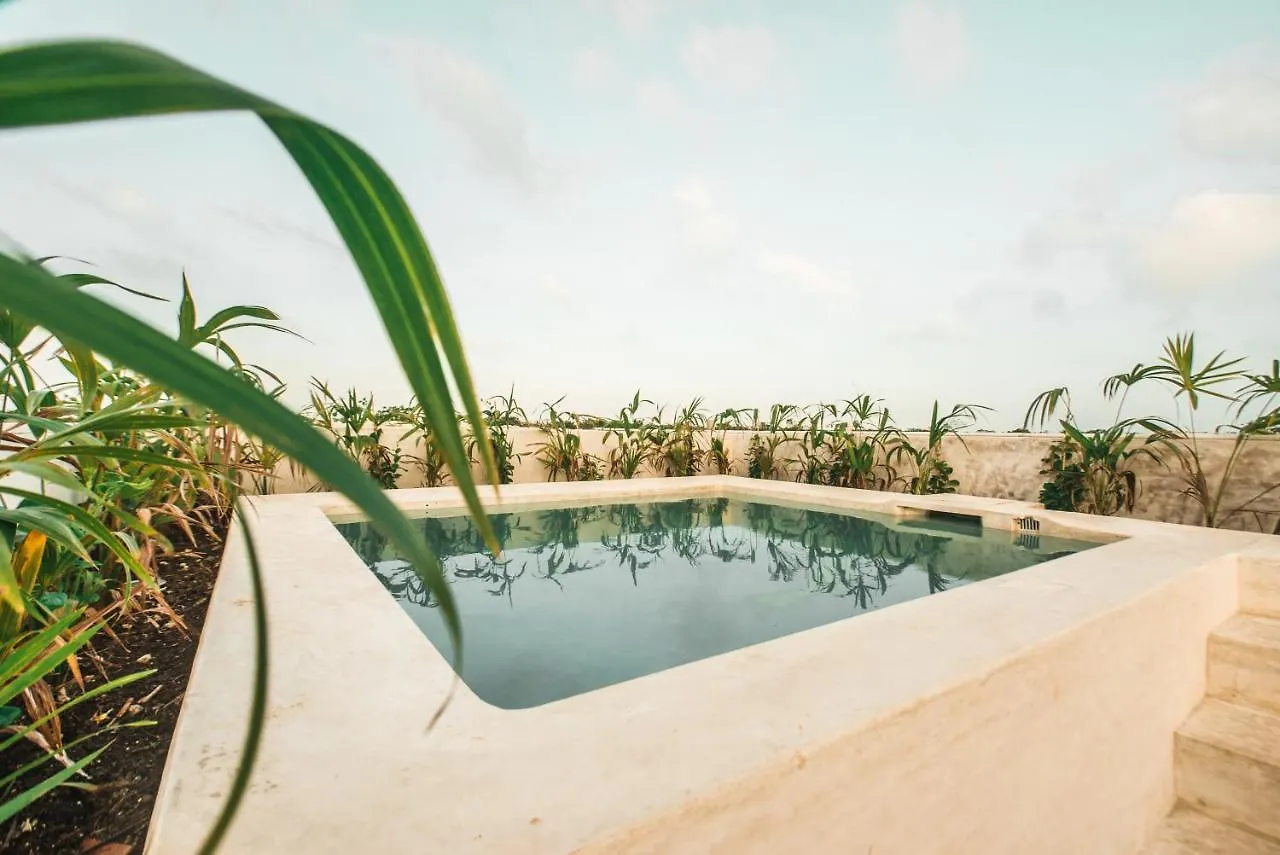 Apartment Nahil Tulum. Luxury Apt. 3 Pools, Incredible Rooftop View!